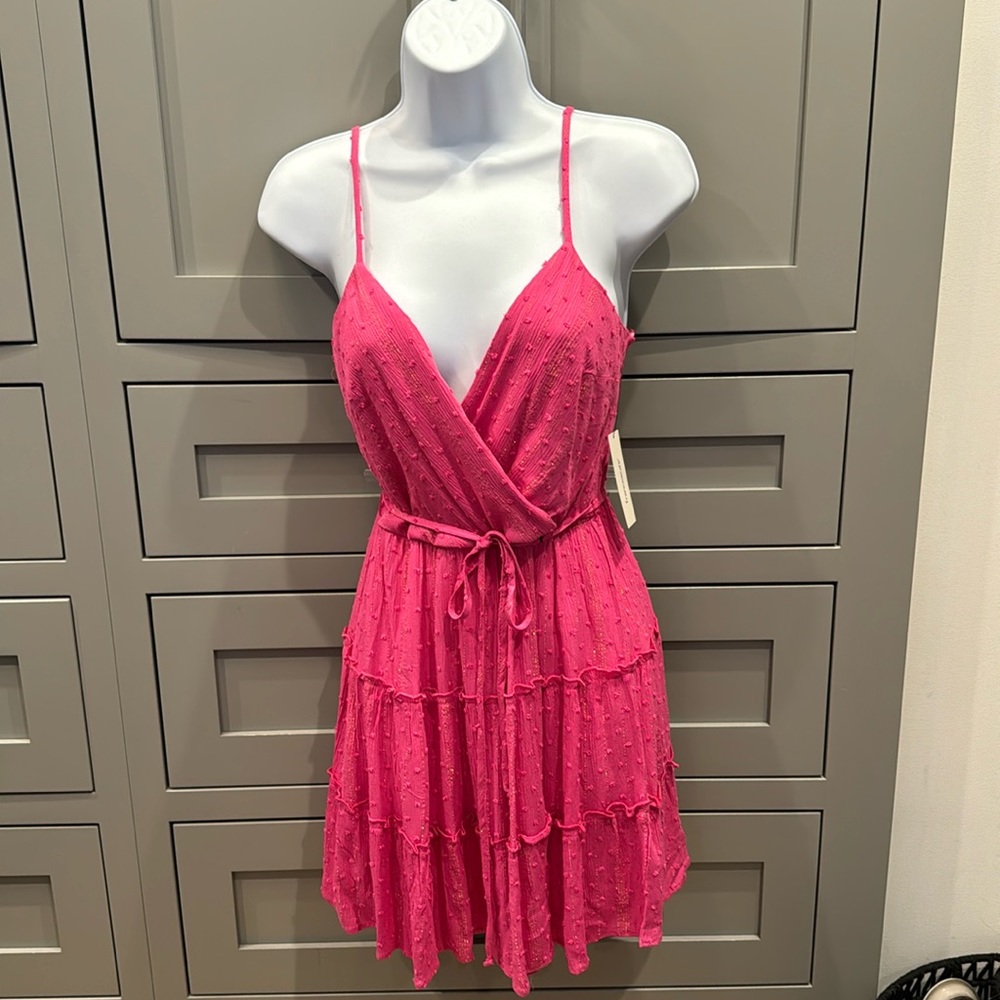 Francesca’s Pink Dress with Gold Shimmer Detail